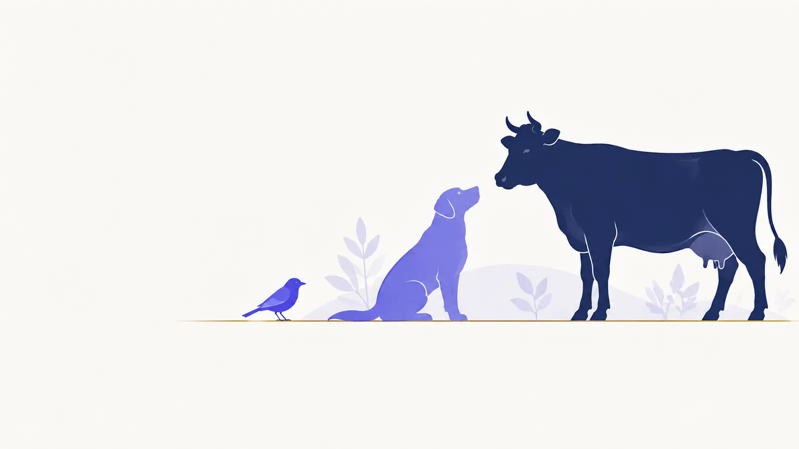 دامپزشکی